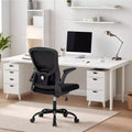 Mesh Office Chair with Adjustable Lumbar Support -Up Armrest Rolling Work Chair Comfy Computer Chair